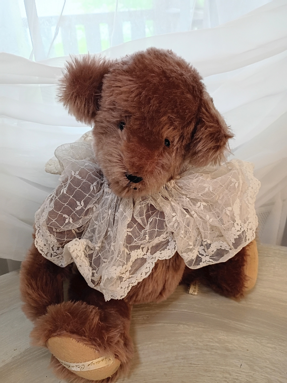 VTG William Veasey Collection Teddy Bear Laced Collar And Tag Signed SHAKER BOX